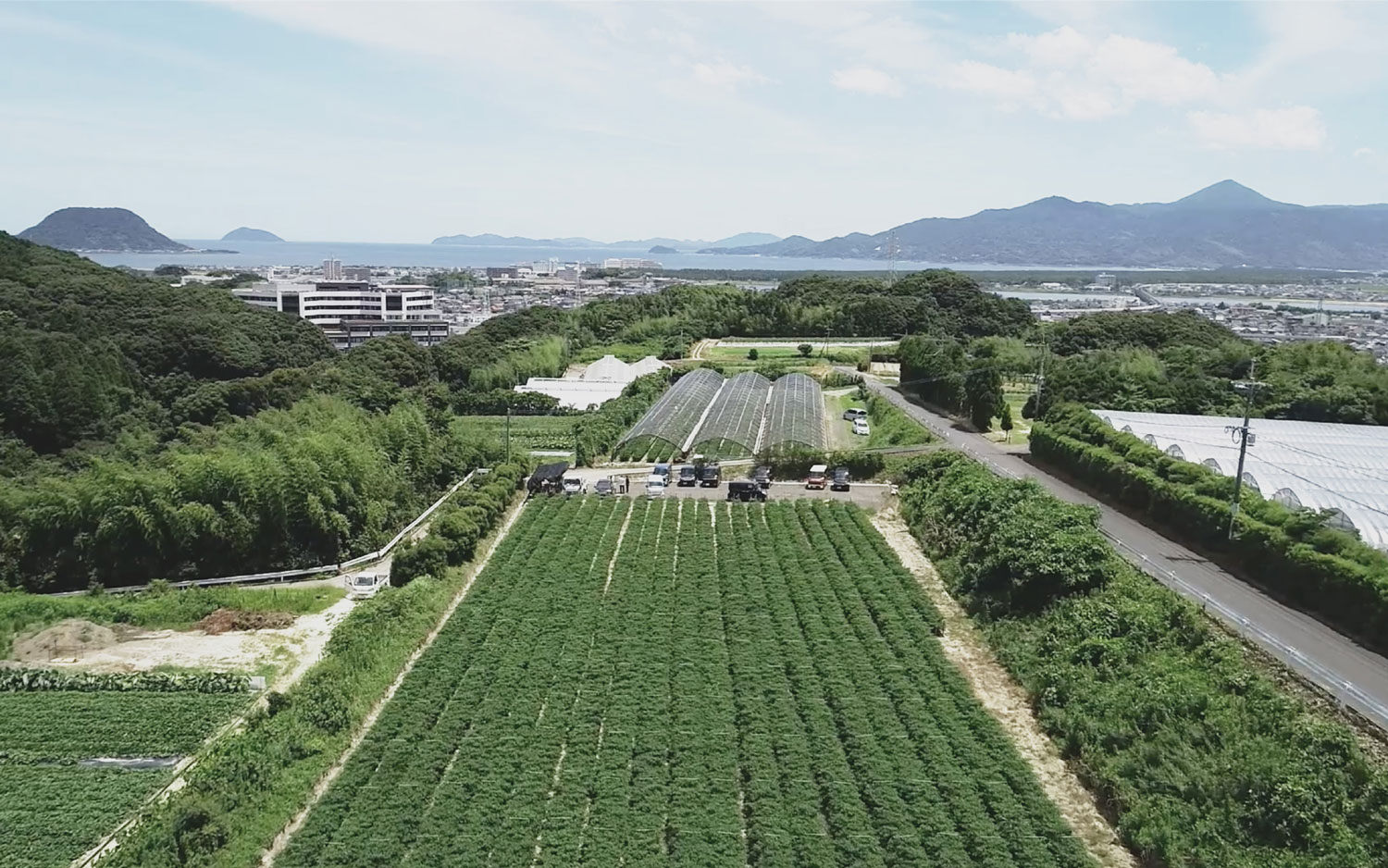 時代　唐津蓮図　極上盃　タサチ　直径6.8㎝高さ3.9㎝　東里6-0803☆2F 土井陵 Takashi DOIがトル・デ・ジアン Tor des Géantsを88時間